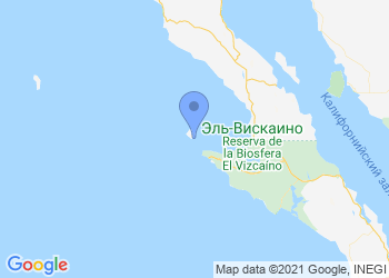 Object on map