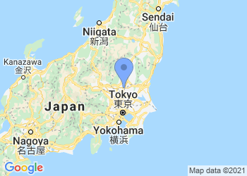 Object on map