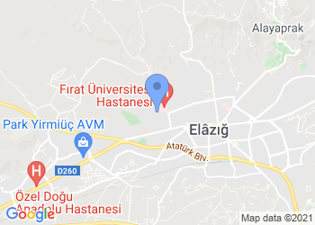 Firat University - Elazig | Admission | Tuition | University