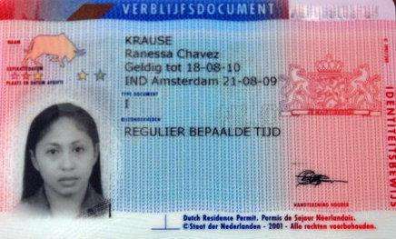 Пример: вид на жительство в Нидерланды