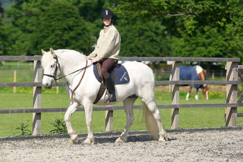 Конный спорт в LVS Ascot School
