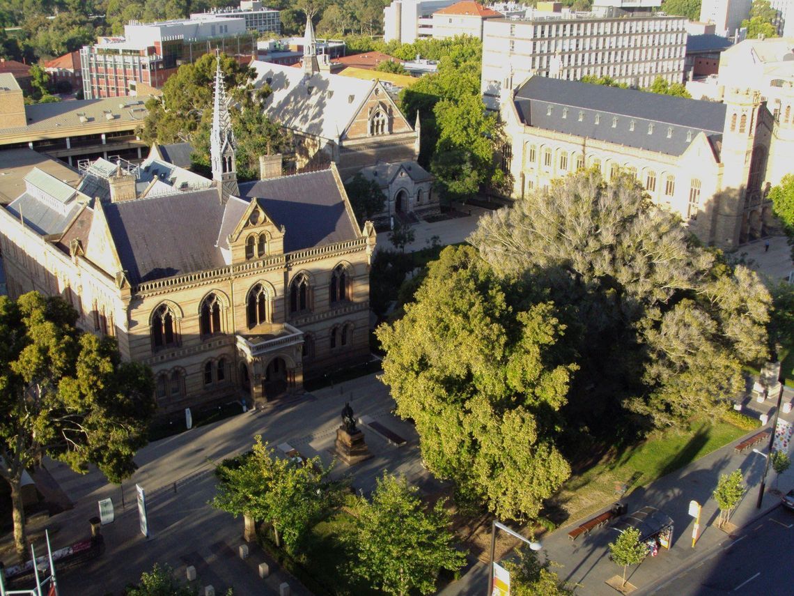 Университет Аделаиды — University of Adelaide