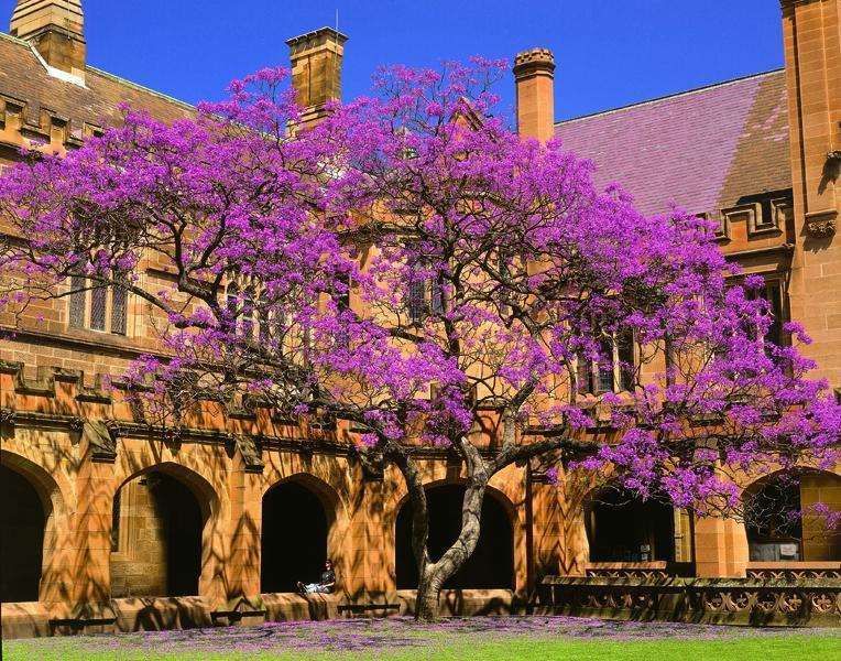Camperdown Campus, University of Sydney