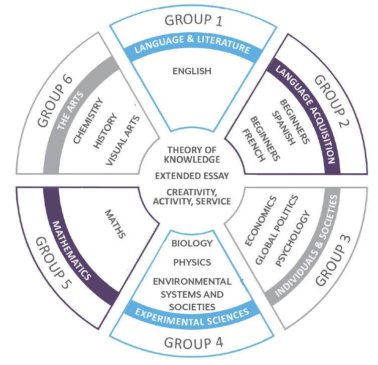 Curriculum of the IB Programme