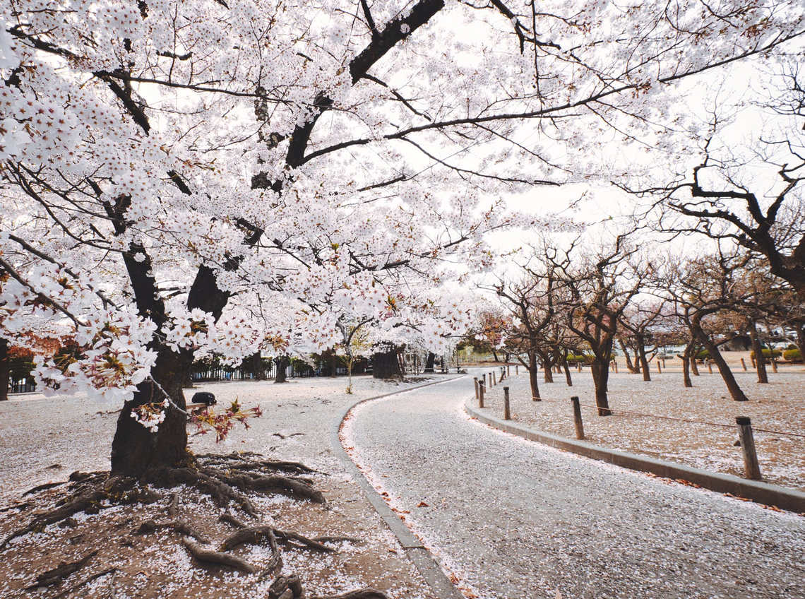 Sakura, Nagano, Japan