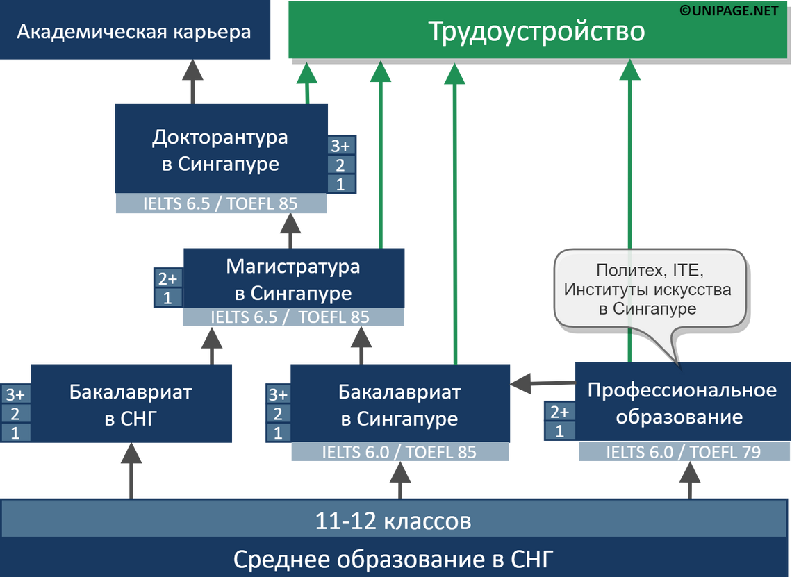 Схема образования в Сингапуре