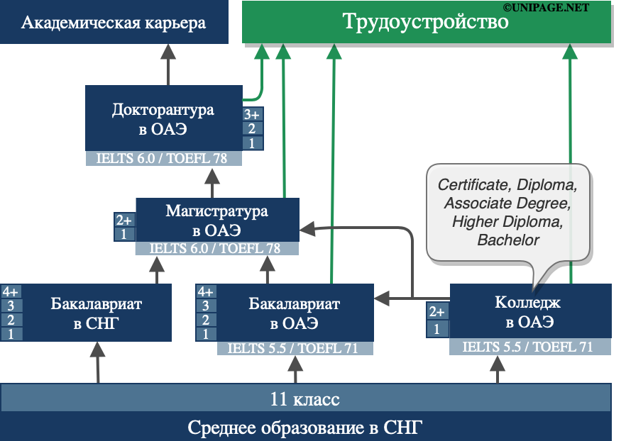 бесплатное обучение в дубае