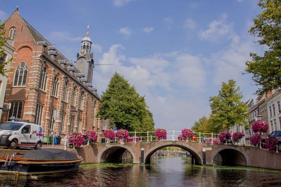 Лейденский университет — Leiden University