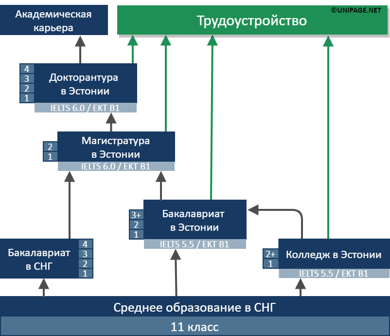 эстония обучение в университете. Смотреть фото эстония обучение в университете. Смотреть картинку эстония обучение в университете. Картинка про эстония обучение в университете. Фото эстония обучение в университете
